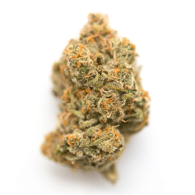 G13 Haze