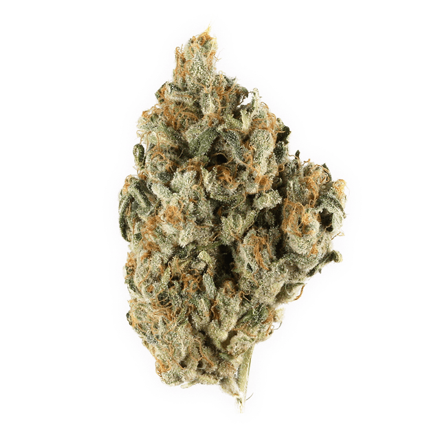 Blackberry Kush