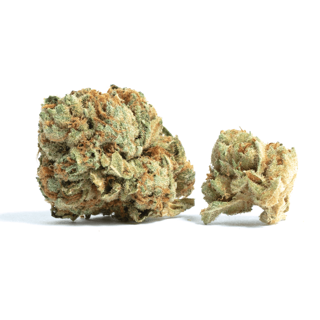 Florida Kush | Marihuana Strain Information | Spliffmeister