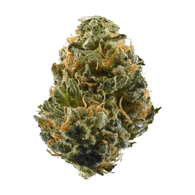 Gelato 25 | Marihuana Strain Information | Spliffmeister